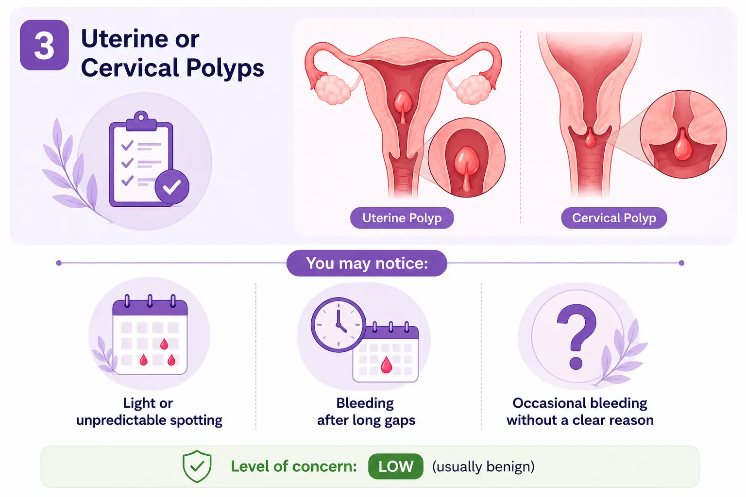 Infographic showing uterine and cervical polyps as a possible cause of bleeding after menopause and irregular spotting.