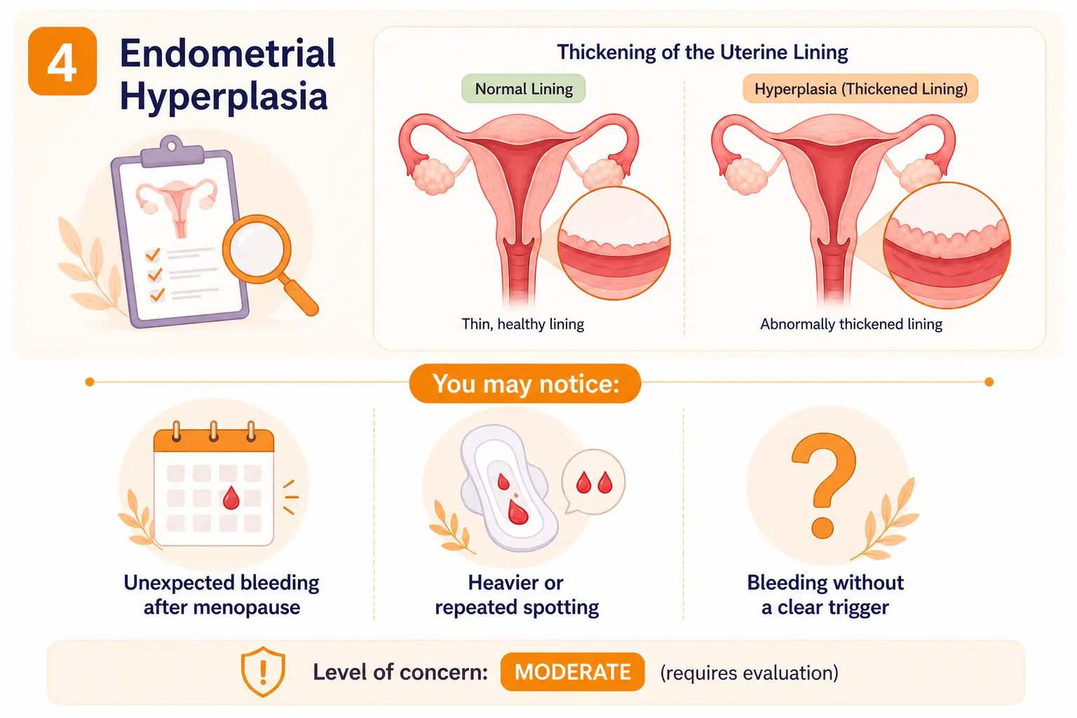 Medical infographic explaining endometrial hyperplasia and thickening of the uterine lining causing postmenopausal bleeding.